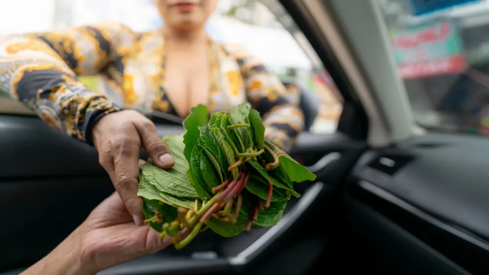 Frau verkauft Kratomblätter an Autofahrer