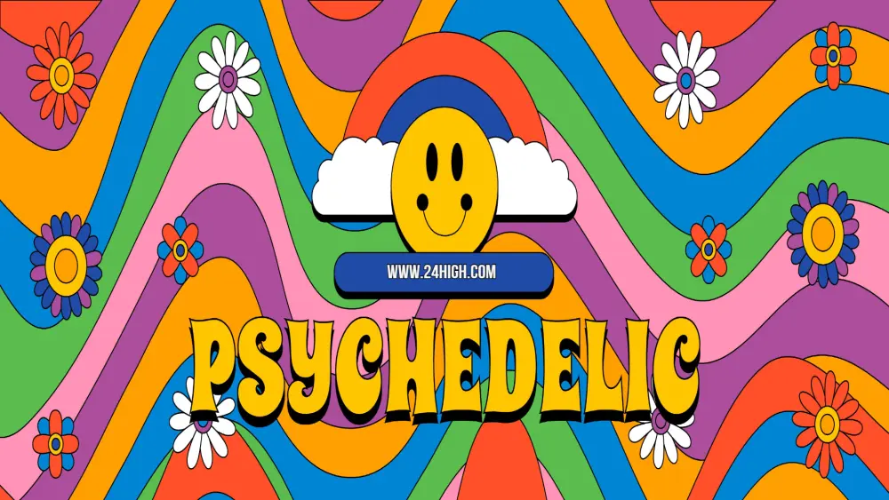 MAO-Hemmer und Psychedelika erklärt