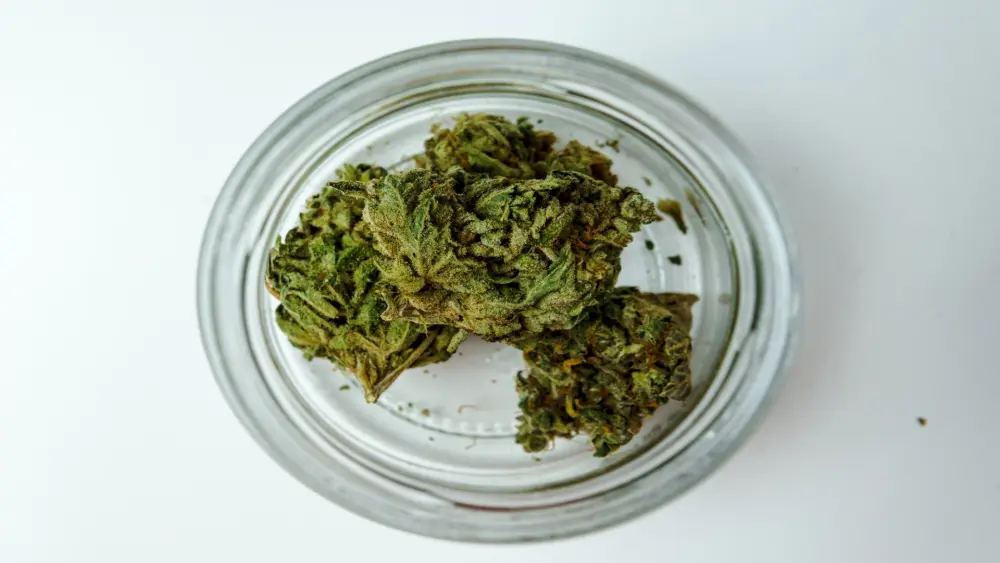 cannabis rauchen
