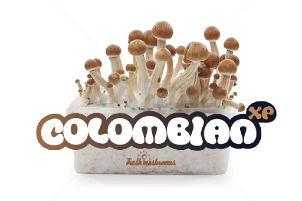 100% Mycelium Pilzzuchtset Freshmushrooms Colombian