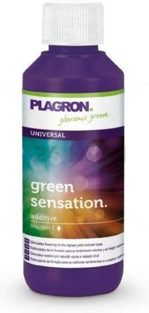Plagron Grüne Sensation - 100 ml