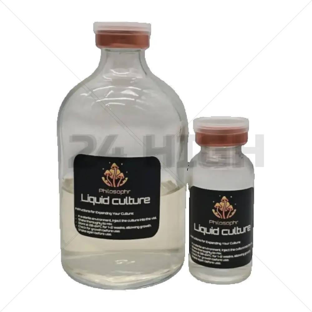 Liquid Culture (Flüssige Kultur)