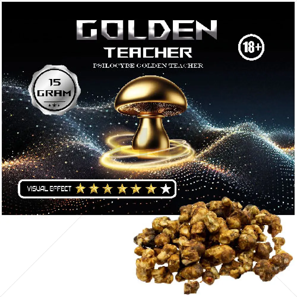 Psilocybe Golden Teacher Trüffel
