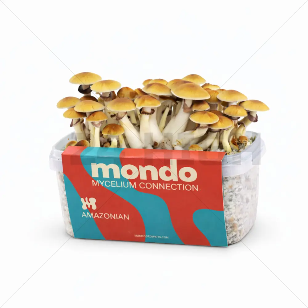 Mondo pilze zuchtsets Amazonian