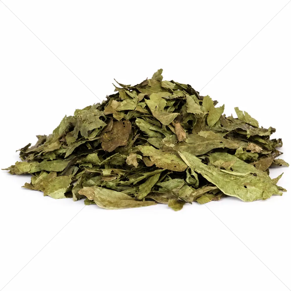 Chacruna (Psychotria viridis) Blätter – 50 Gramm