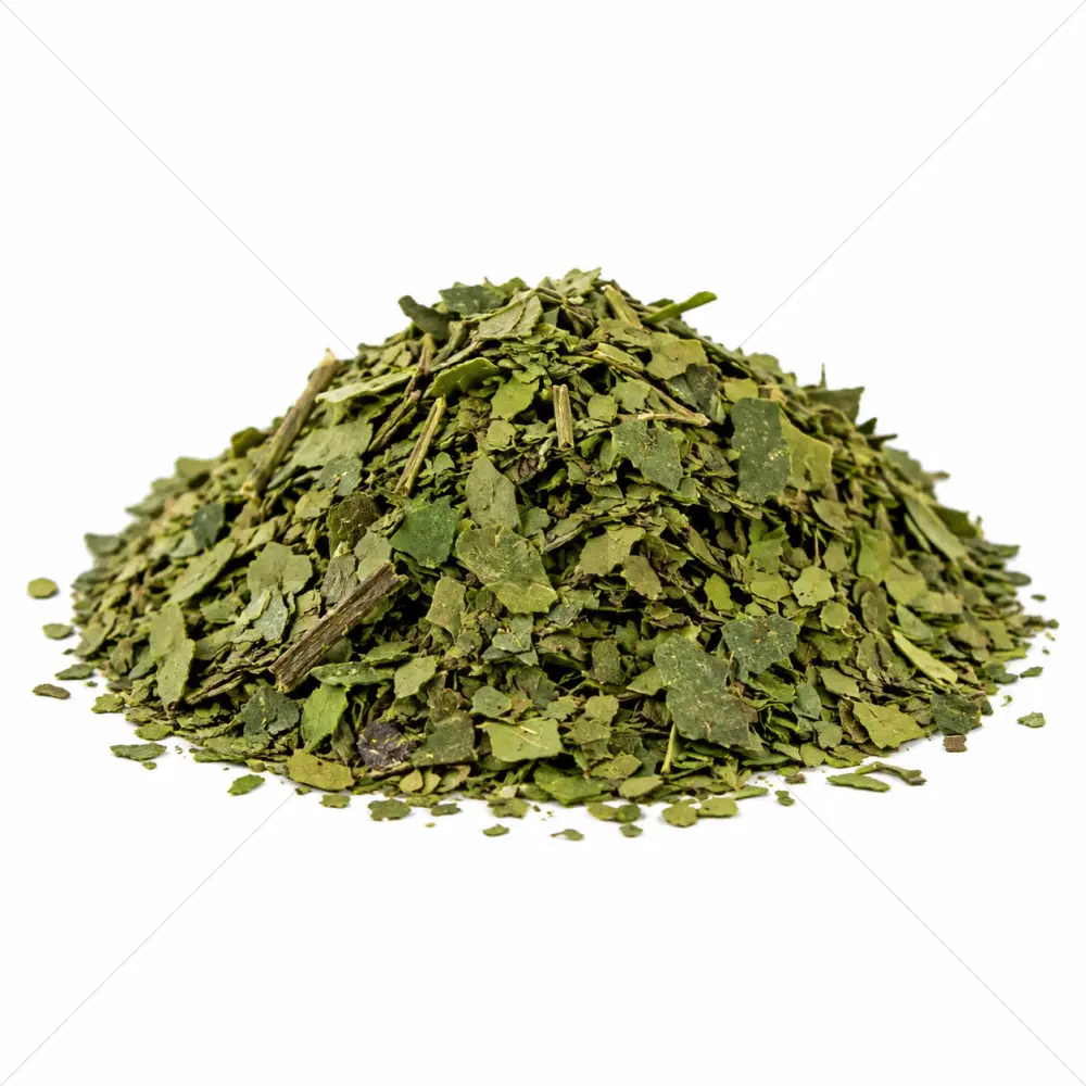 Guayusa (Ilex guayusa) Blätter – 50 Gramm