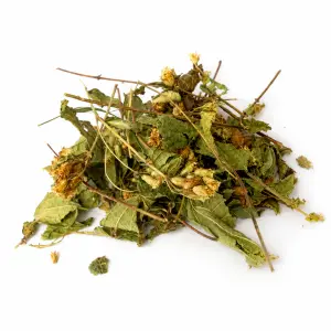 Dream Herbs (Calea zacatechichi) geschnitten – 50 Gramm