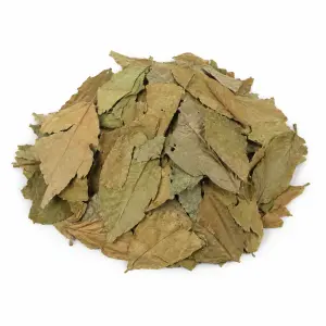 Chaliponga (Diplopterys cabrerana) – 50 Gramm
