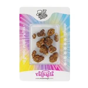Psilocybe Walhalla Trüffel