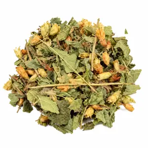 Dream Herbs (Calea zacatechichi) geschnitten – 50 Gramm