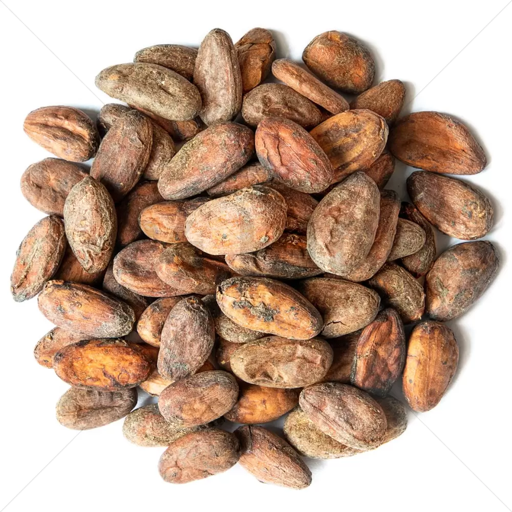 Kakaobohnen Roh Bio