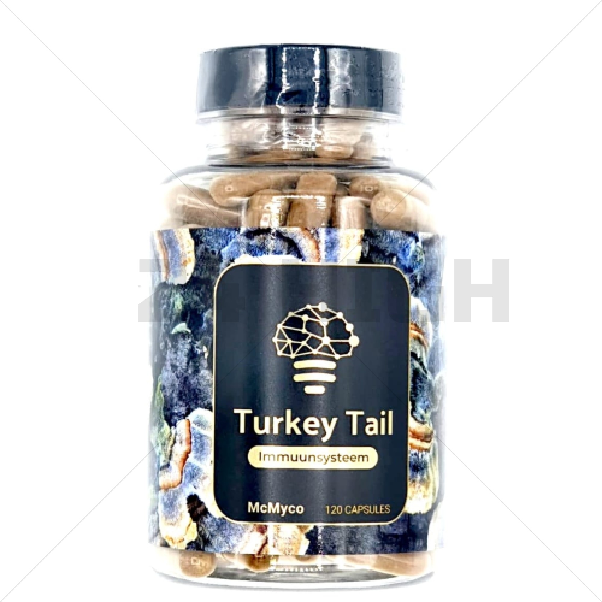 Turkey Tail (Coriolos Versicolor) - Immunsystem