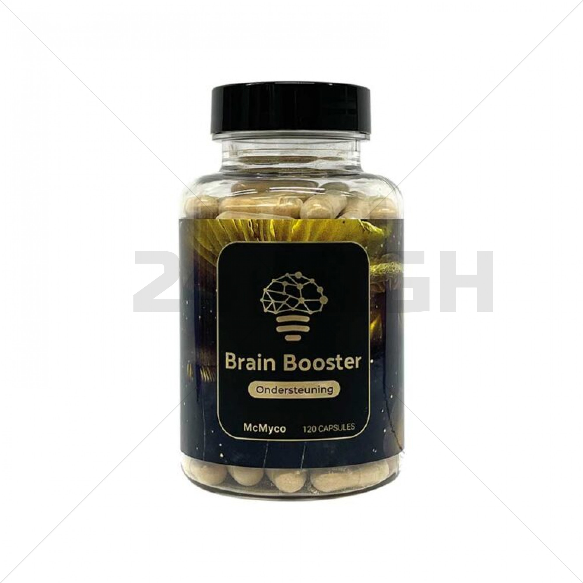 Brain Booster - Heilpilzextract
