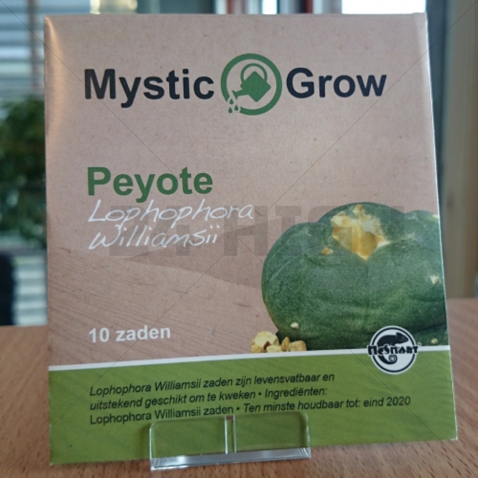 Peyote-Samen (Lophophora Williamsii)
