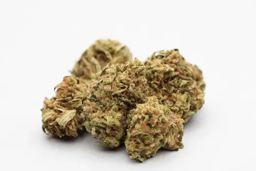 WAS IST CANNABIS?