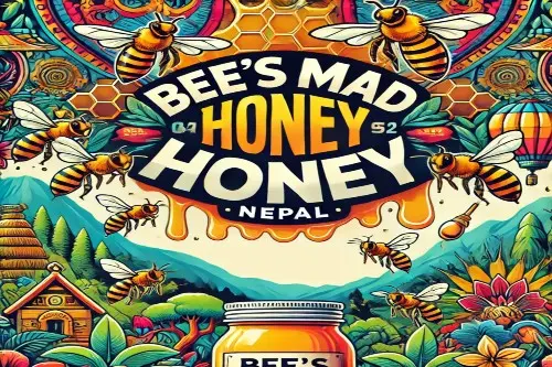 MAD HONEY: WILDER HONIG MIT PSYCHOAKTIVEN KRÄFTEN